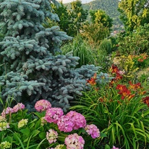 image-0-4